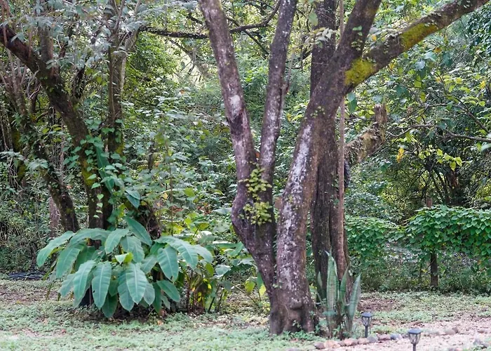 Casa Guanabana Сasa de vacaciones *